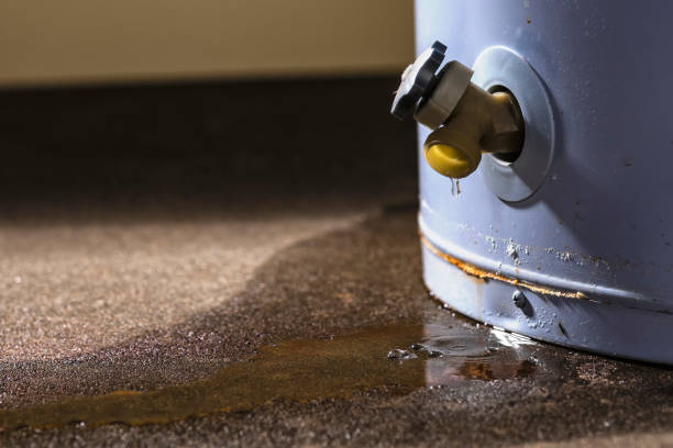 Best 24/7 water damage repair  in Marshall, VA