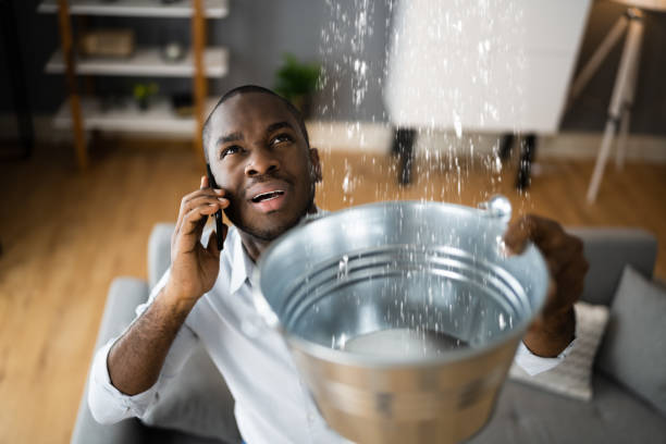Best Local water damage restoration  in Marshall, VA