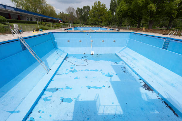 Best Professional water damage repair  in Marshall, VA