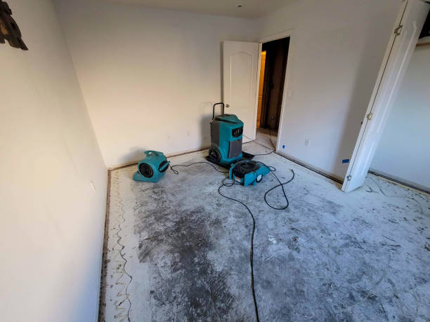 Reliable VA Water damage restoration Solutions