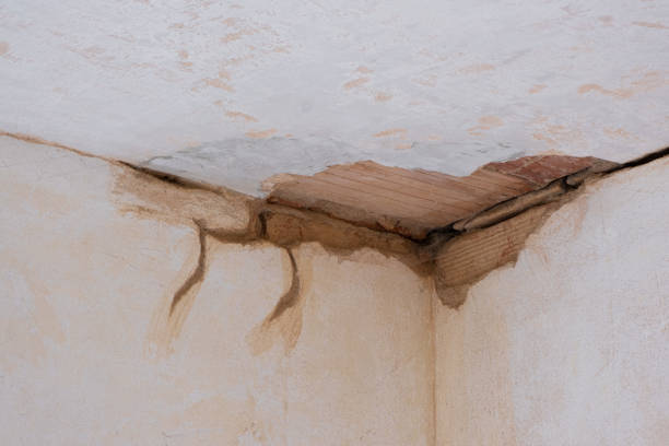 Best Sewage cleanup and water damage restoration  in Marshall, VA