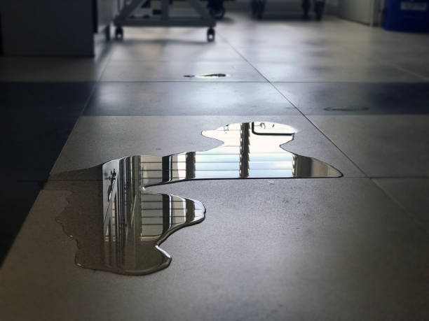 Best Commercial water damage restoration  in Marshall, VA