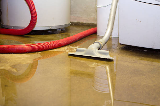 Best Flooded house restoration  in Marshall, VA