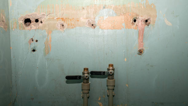 Best Flooded house restoration  in Marshall, VA