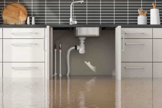 Best Water damage cleanup near me  in Marshall, VA