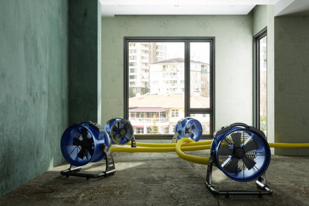 Best Water damage restoration near me  in Marshall, VA